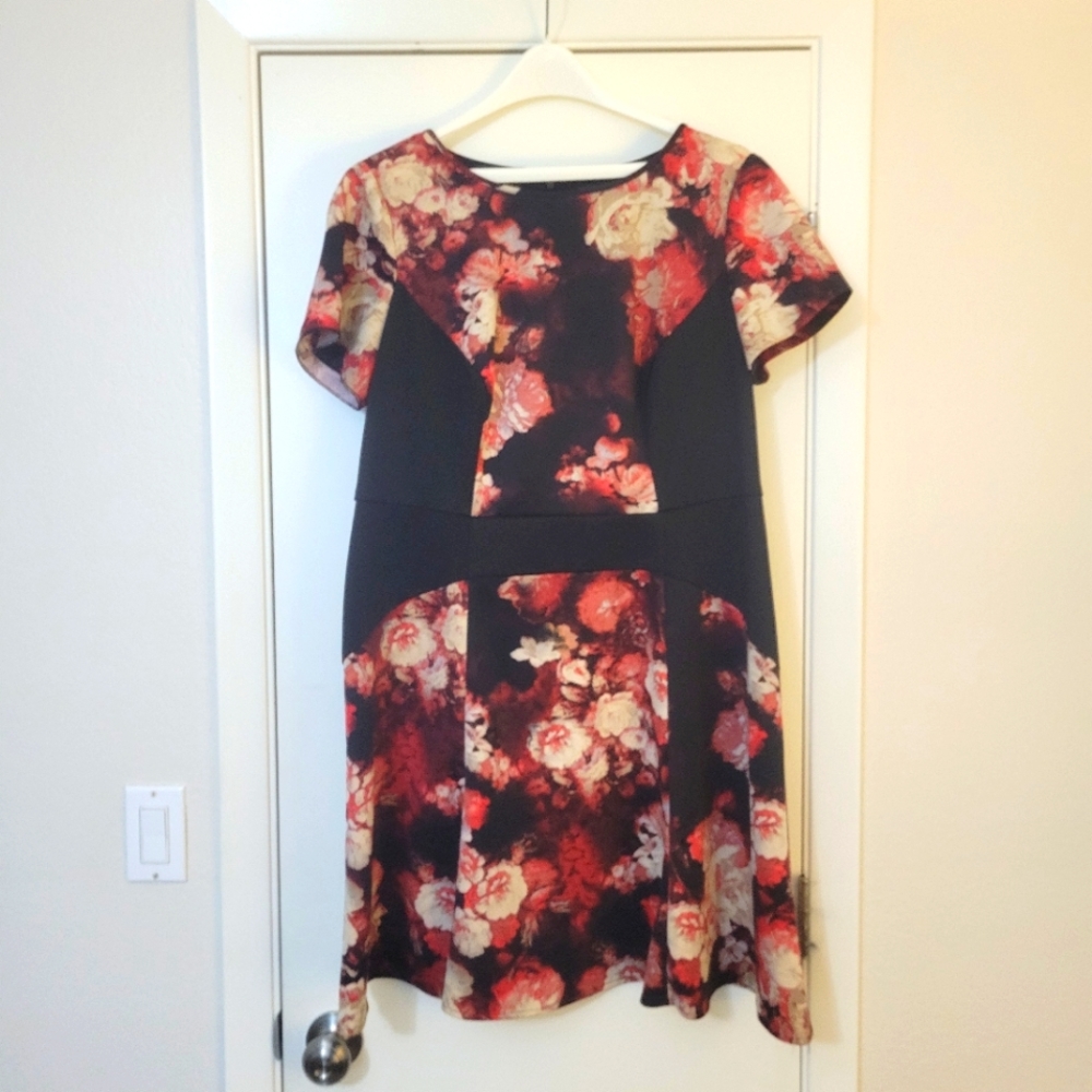 Adrianna Papell fit and flare rose dress